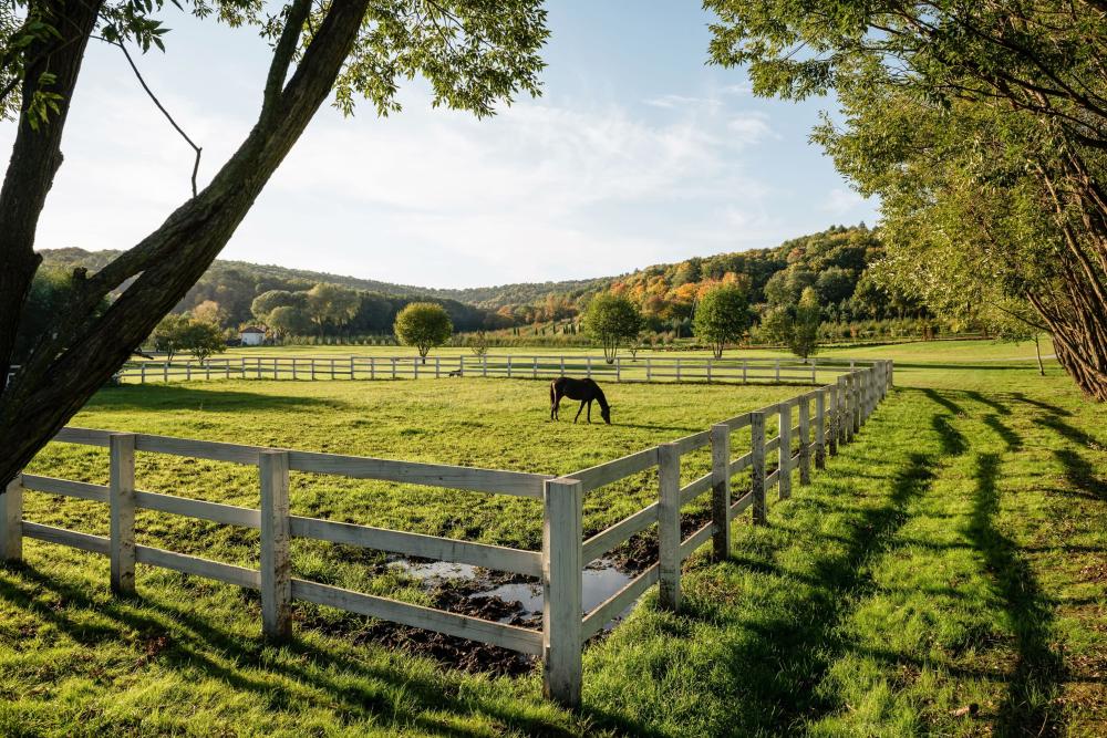 cloture bois chevaux (1) (2)