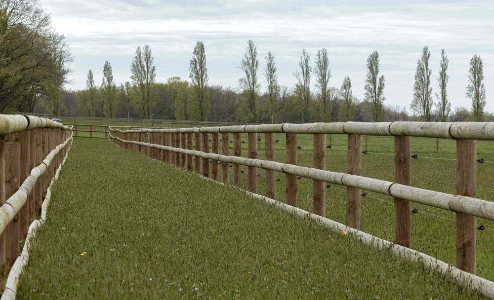 cloture bois chevaux 3 (1)